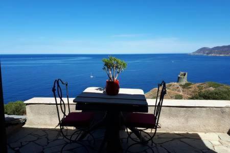 Coin De Paradis Vue Dominante Sur Mer, Montagne Et Tour Genoise Avec Jacuzzi Pino Exteriér fotografie