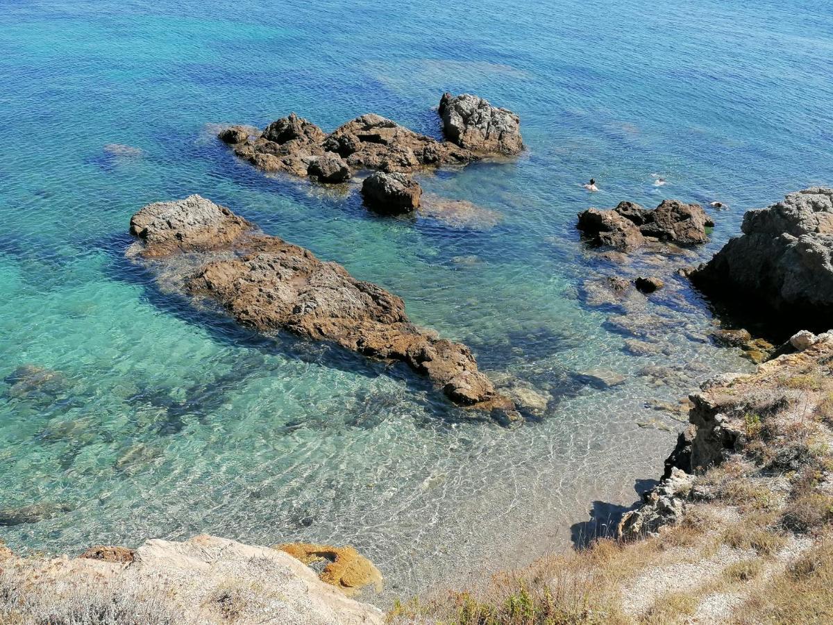 Coin De Paradis Vue Dominante Sur Mer, Montagne Et Tour Genoise Avec Jacuzzi Pino Exteriér fotografie