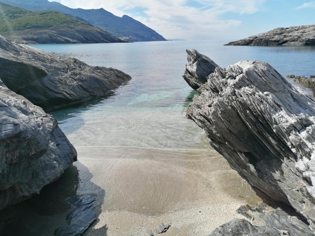 Coin De Paradis Vue Dominante Sur Mer, Montagne Et Tour Genoise Avec Jacuzzi Pino Exteriér fotografie