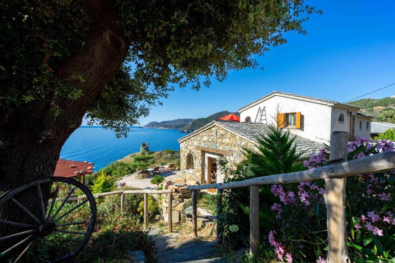 Coin De Paradis Vue Dominante Sur Mer, Montagne Et Tour Genoise Avec Jacuzzi Pino Exteriér fotografie
