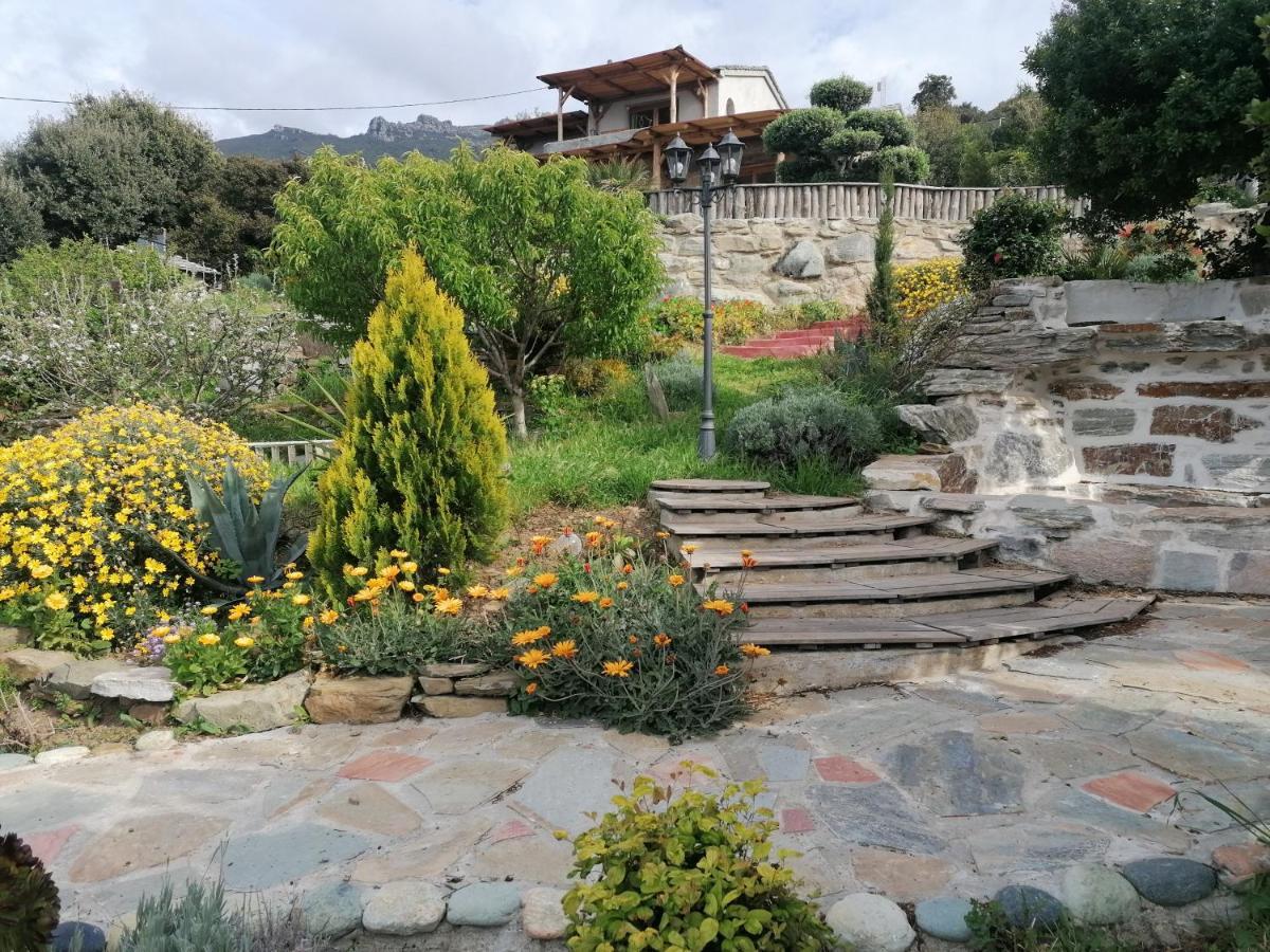 Coin De Paradis Vue Dominante Sur Mer, Montagne Et Tour Genoise Avec Jacuzzi Pino Exteriér fotografie